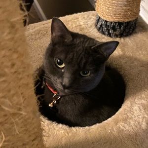 Meet your Posher, Michele